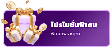 โปรโมชั่นพิเศษ